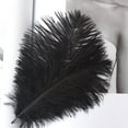 thumbnail image 3 of Clearance Office&Craft&Stationery under $5,5 Pcs Multicolor Plumage For Wedding Party Centerpieces Flower Arrangement Home Decoration Diy Big Floating Plume Hair Craft Decoration Wedding Pluma, 3 of 3