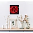thumbnail image 3 of JRXY  Canvas Print Wall Art Close Up Detail Red Romantic Rose Flower Nature Floral Photography Realism Botanical Wilderness Zen Rustic Colorful Decorative for Living Room, Bedroom16x16 inch picture 5, 3 of 4