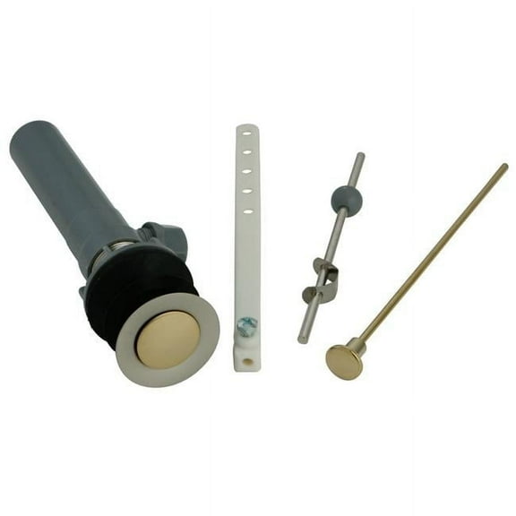 1.25 in. Outer Diameter Retail Pop Up with Overflow Hole, Satin Nickel & Polished Brass