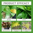 thumbnail image 4 of 3.53Oz, Premium Organic Neem Cake Soil Conditioner, Improves Soil Structure Enhances Nutrient Retention, For Garden Lawn Potted Plants And Agricultural Planting For Family--, 4 of 9