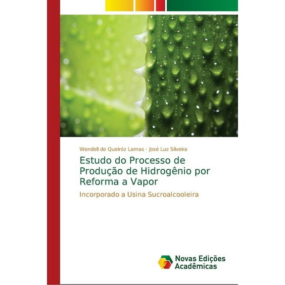 Estudo do Processo de Produção de Hidrogênio por Reforma a Vapor (Paperback)