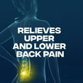 Advil Dual Action Back Pain Caplets Delivers 250Mg Ibuprofen and 500Mg