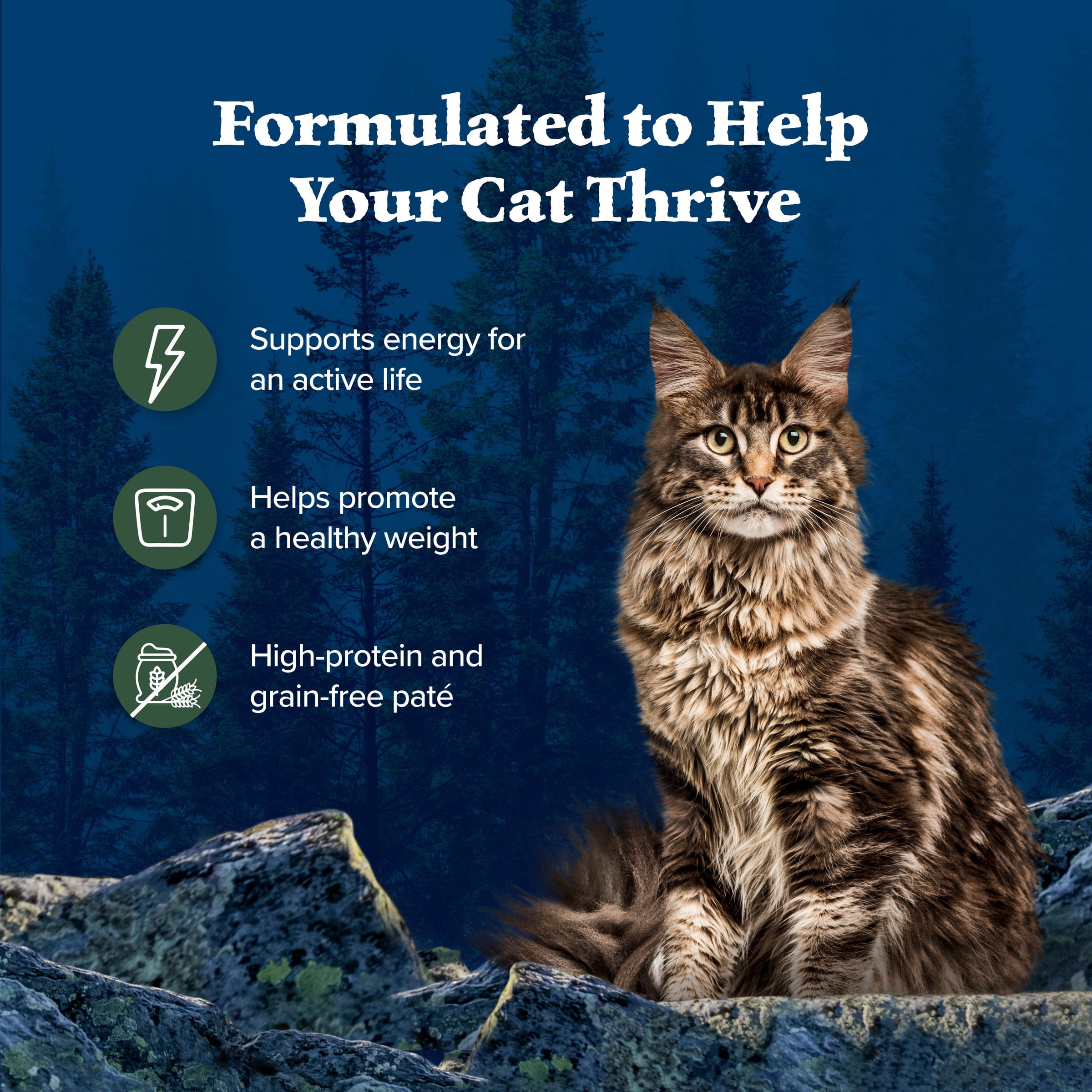(24 pack) Blue Buffalo Wilderness High-Protein Adult Cat Wet Food, Duck, 3-oz. Can