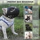 thumbnail image 5 of Short Snout Dogs Muzzle - Soft Silicone Breathable Bulldog Muzzle for Biting, Chewing, Licking, 5 of 5