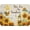 Bee Gnomes, variant on Hummingbird Dish Drying Mat for Kitchen Countertop, Spring Summer Sage Green Eucalyptus Leaves Dish Drainer Mats, Herb Botanical Microfiber Dish Drying Pad Home Decor, 16"x18", Small