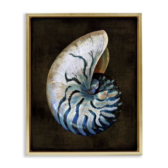 Stupell Industries Traditional Dark Nautilus Shell Gold Floating Frame Canvas Art, 17 x 21, by Caroline Kelly