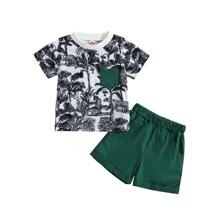 

Arvbitana 0M 6M 12M 18M 24M 3T Infant Baby Boys Summer 2Pcs Outfits Print Short Sleeve T-shirt and Casual Elastic Shorts Set
