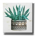 thumbnail image 1 of Epic Graffiti 'Mud Cloth Succulent II' by Cindy Jacobs, Canvas Wall Art, 37"x37", 1 of 2