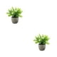 thumbnail image 4 of Inteprter Decoración artificial elegante de la planta en conserva fácil limpiar el árbol artificial del dinero en pote respetuoso del medio Type6 NO6, 4 of 6