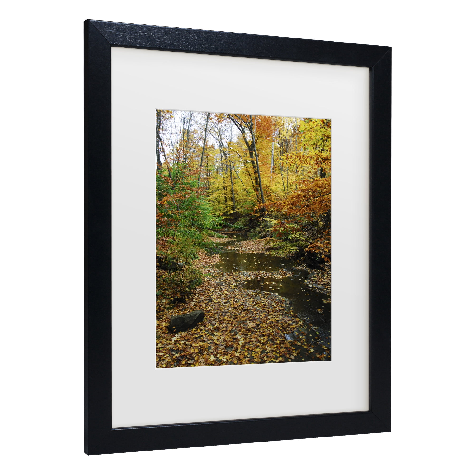 Trademark Fine Art 'Autumn Stream' Canvas Art by Kurt Shaffer
