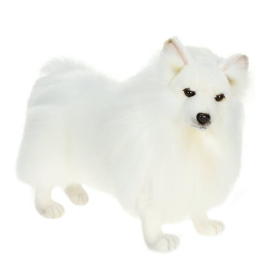 Hansa - German Spitz Dog, 19 Inches