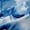 Blue White, variant on Castle Fairy Chic Floral Black Out Curtains,Vintage Curtains Pack of 2 (42x63 Each)