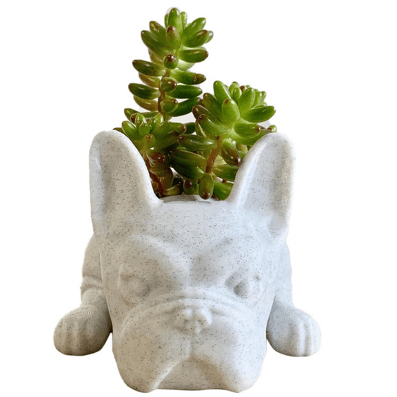 Ceramic French Bulldog Shaped Succulent Planter Unique Animal Design Decorative Pot for Indoor Outdoor Plants Desk Home Office Use