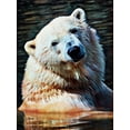 thumbnail image 2 of Aldridge, Ashley 19x24 Gold Ornate Wood Framed with Double Matting Museum Art Print Titled - Polar Bear Bath Time, 2 of 4