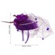 thumbnail image 2 of IFANLANDOR Para El Con Y Plumas Moradas Para Eventos Y Celebraciones, 2 of 6