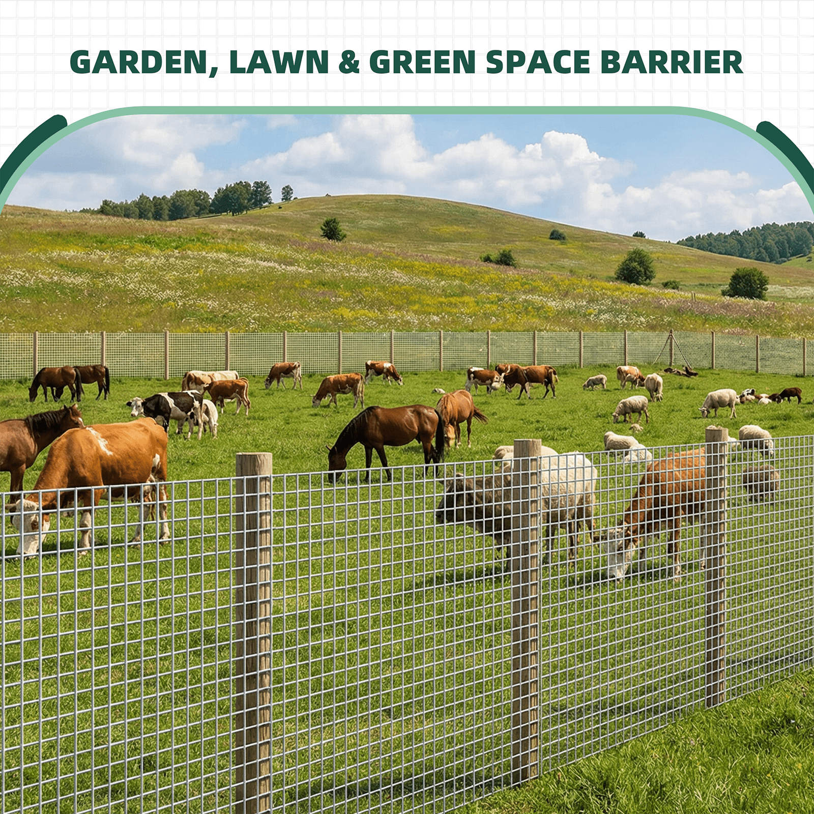 Land Guard Hardware Cloth 1/2 Inch 48inx200ft  19 Gauge Square chicken Wire Fence Mesh Roll Plant Supports Poultry Netting Cage Snake Fence(Sliver)