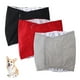 thumbnail image 1 of Pañal lavable para perros - Envoltura abdominal lavable para perros, 1 of 5