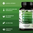 thumbnail image 4 of Emerald Labs DHEA 50mg with 25mg Pregnenolone to Help Balance Hormone Levels for Men and Women, Cognitive Function Support, Increase Metabolism, Lean Body Mass - 60 Capsules, 4 of 7