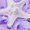 1-Light Purple197, variant on Byoo Toddler Girl Scale Sequin Tutu Dress Starfish Embellished Tulle Dress 2-Piece Sparkly Summer Soft Kids Dresses,Dark Purple