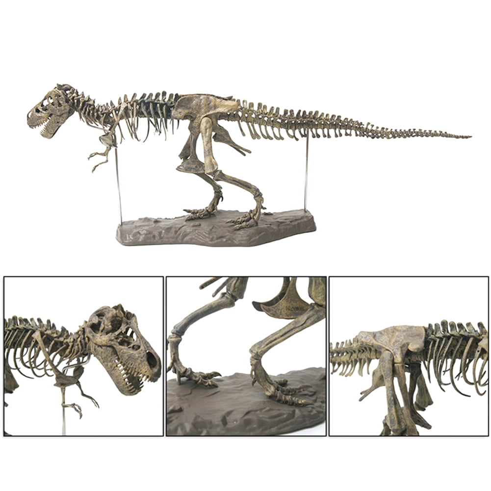 dinosaur bones toys