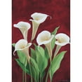 thumbnail image 3 of Schweser, Gertrud 11x14 Black Modern Framed Museum Art Print Titled - Calla on burgundy II, 3 of 5