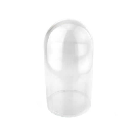 Plastic Dome Display Case w/ Clear Base, 6-Inch, Medium
