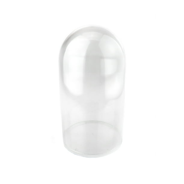 Plastic Dome Display Case w/ Clear Base, 6Inch, Medium