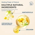 thumbnail image 3 of Kreain Nature Lutein Eye Patch, 3 of 3