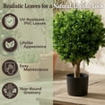 thumbnail image 4 of Pure Garden Set of 2 Hedyotis Artificial Trees - UV-Resistant Fake Plants, 4 of 8