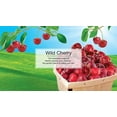 thumbnail image 4 of Little Trees 60311 Wild Cherry Hanging Air Freshener for Car & Home 72 Pack!, 4 of 4