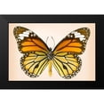 thumbnail image 2 of Reynolds, Richard 14x11 Black Modern Framed Museum Art Print Titled - Tiger Common, 2 of 5