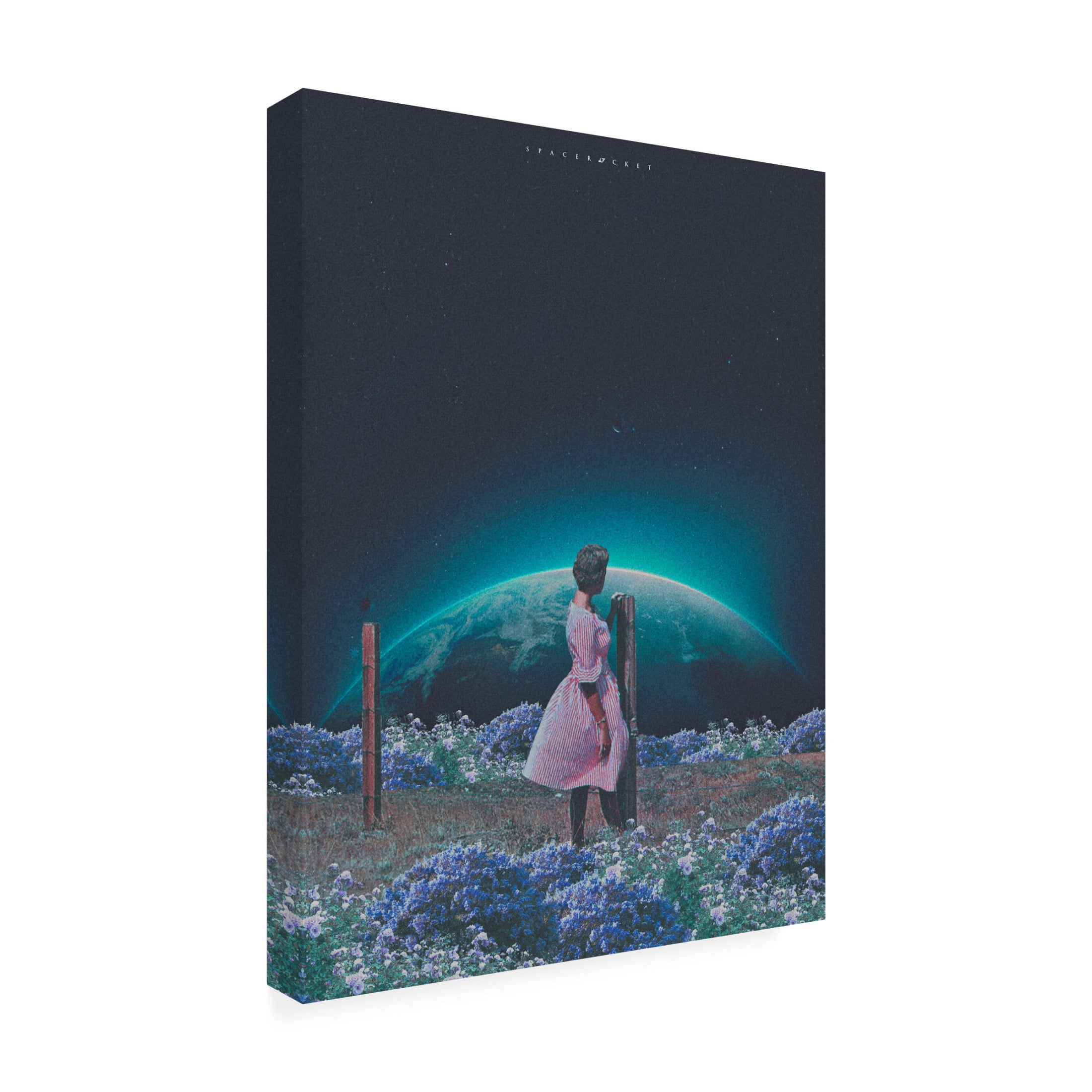Trademark Fine Art spacerocket art 204 Canvas Wall Art