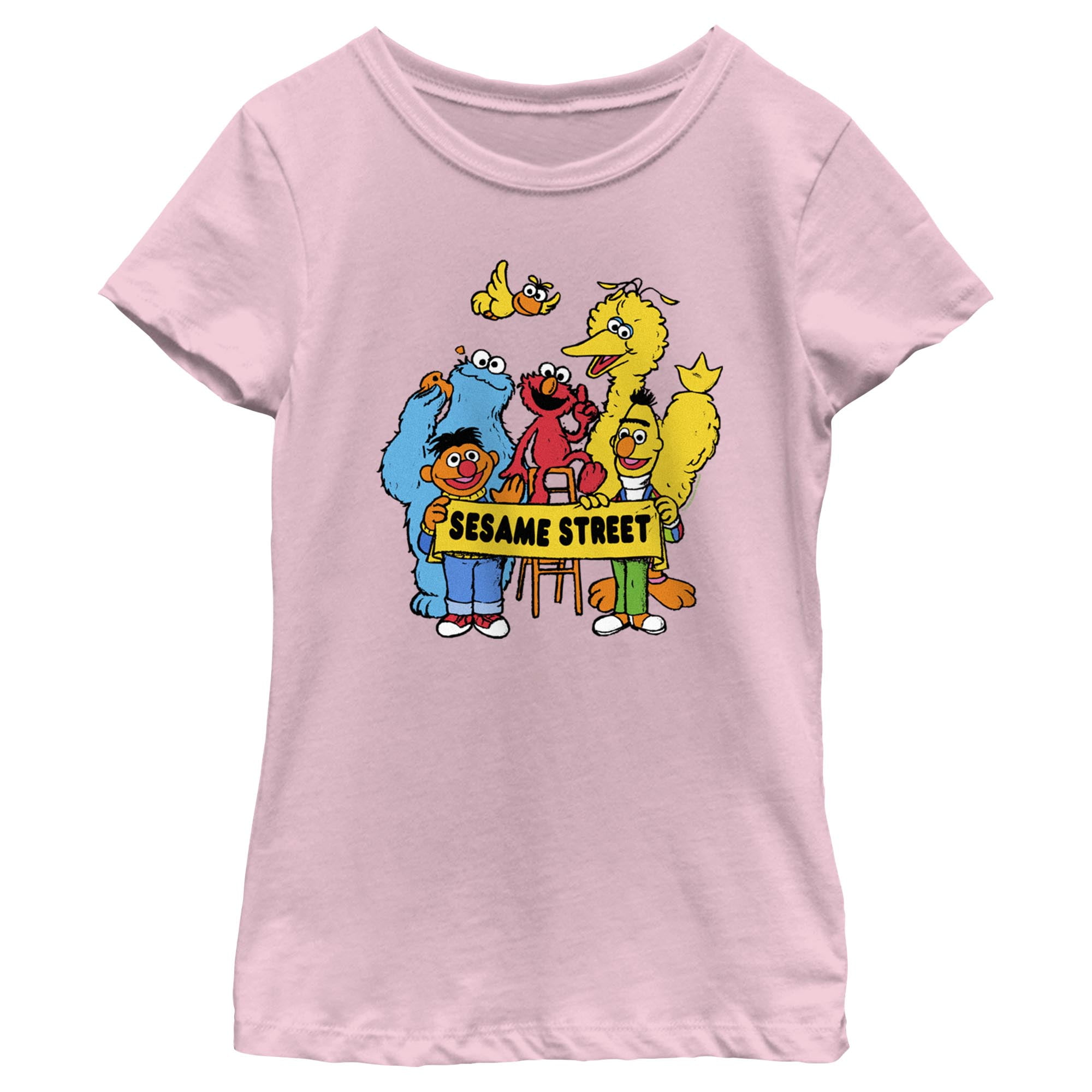 Girl's Sesame Street Crew Banner Portrait Graphic T-Shirt