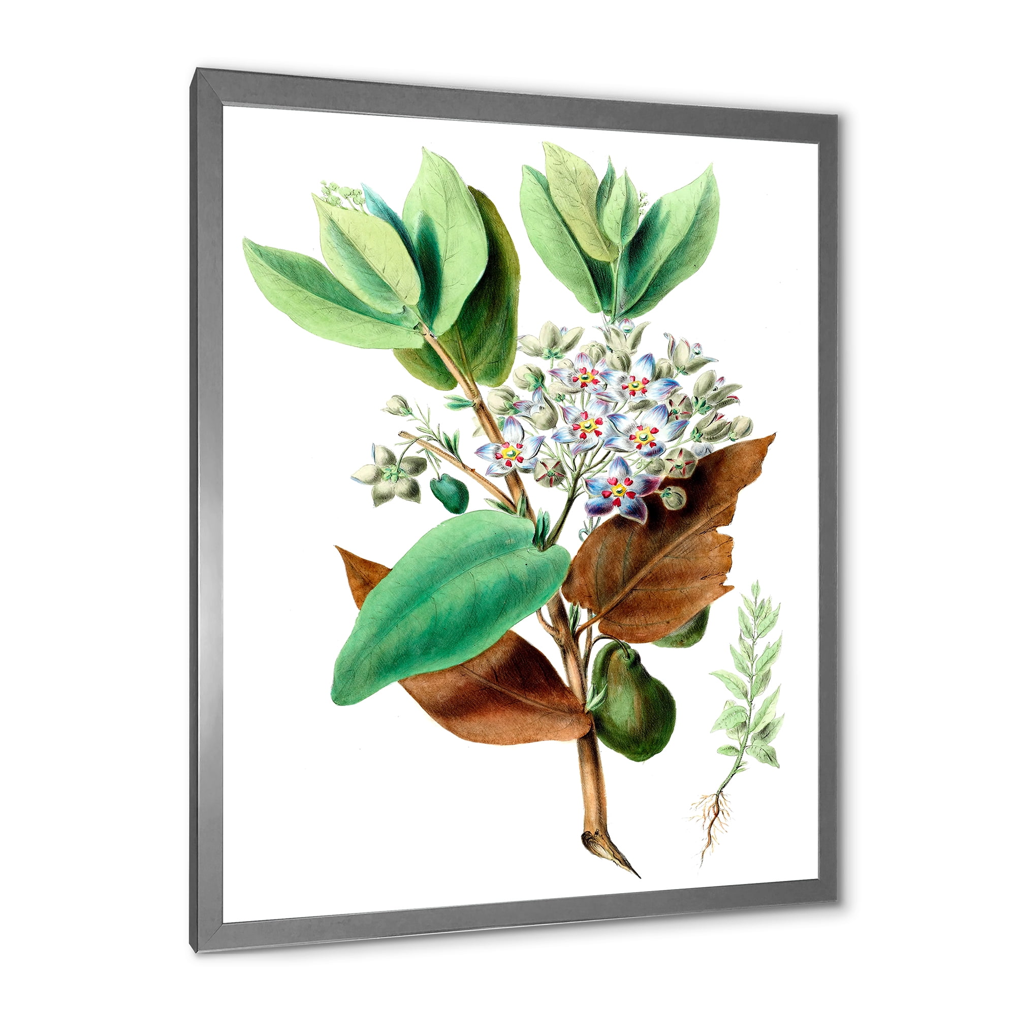 Designart 'Ancient Plant Life XXVIII' Traditional Framed Art Print
