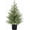 2FT D1, variant on RUPKUL Pre-Lit Artificial Twinkle Christmas Tree, Realistic 2FT Potted Faux Norfolk Pine Christmas Tree for Easy Indoor Holiday Decor