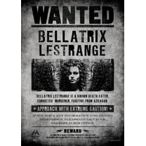 MightyPrint 'Harry Potter Wanted Bellatrix Lestrange' Graphic Art Print
