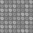 thumbnail image 1 of Ahgly Company Machine Washable Indoor Square Transitional Ash Gray Area Rugs, 8' Square, 1 of 7