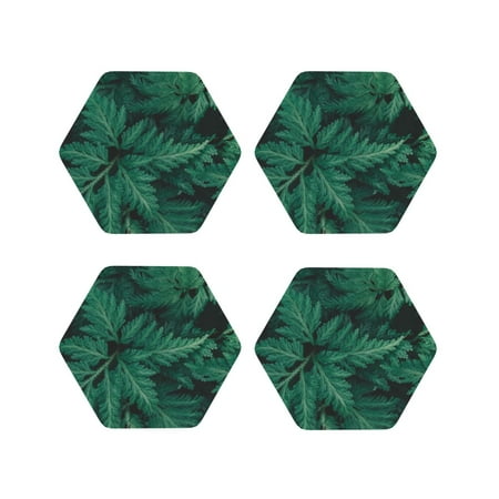 

Tideii Green Leave Fern for Leather Coasters 4 Pieces Anti-fouling and Anti-scalding Decorative Coasters Suitable for Restaurants Kitchens Coffee Shops-Hexagon