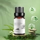 thumbnail image 1 of Aceite de aromaterapia para aliviar la fatiga 10 ml una esencia, 1 of 9