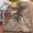 Coffee & Beige | Waterproof-2'6" x 8' (Rectangular), variant on Outdoor Rug 3' X 5' Waterproof For Patios Clearance Reversible Plastic Straw Camping Carpet Large Area Rugs Mats Rv Camper Deck Balcony Porch Beach Picnic Grey&white