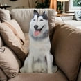 thumbnail image 3 of Cojín de perro 3D, juguete de animal, regalo de cumpleaños, decoración suave, lindo y realista, abrazo Gris, 3 of 7