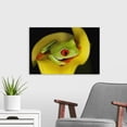 thumbnail image 3 of Great BIG Canvas Animals Photography, 3 of 7