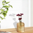 thumbnail image 5 of Esquirla Vase ,Mini Vase, Vintage Vase ,Glass Vase ,Decorative Flower Vase for Artificial Flowers Dining Room Party Decor C, 5 of 7