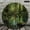 12x12in, variant on Patifu Serene Forest Pool Mossy Rocks Wooden Wall Clock 10 Inch Silent Sweep Movement 10x10in