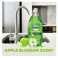 thumbnail image 3 of Dawn Ultra Antibacterial Hand Soap, Dishwashing Liquid Dish Soap, Apple Blossom Scent (90 fl. oz.), 3 of 6