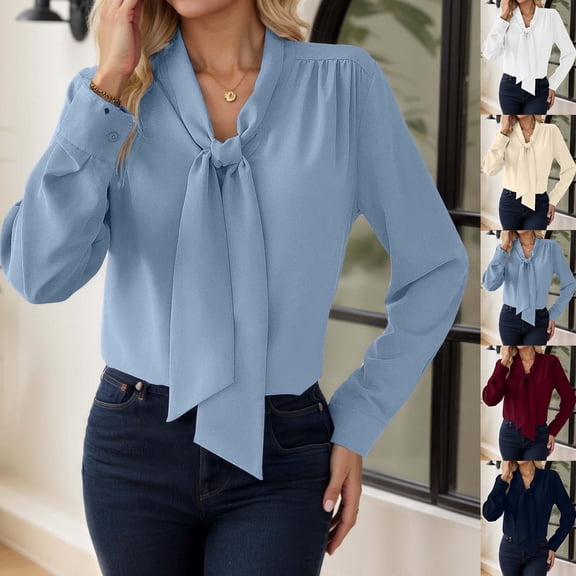 Long Sleeve Shirts for Women Elegant Tie Neck Blouse Long Sleeve Soft Tunic Top with Bow Detail Outfits Modern