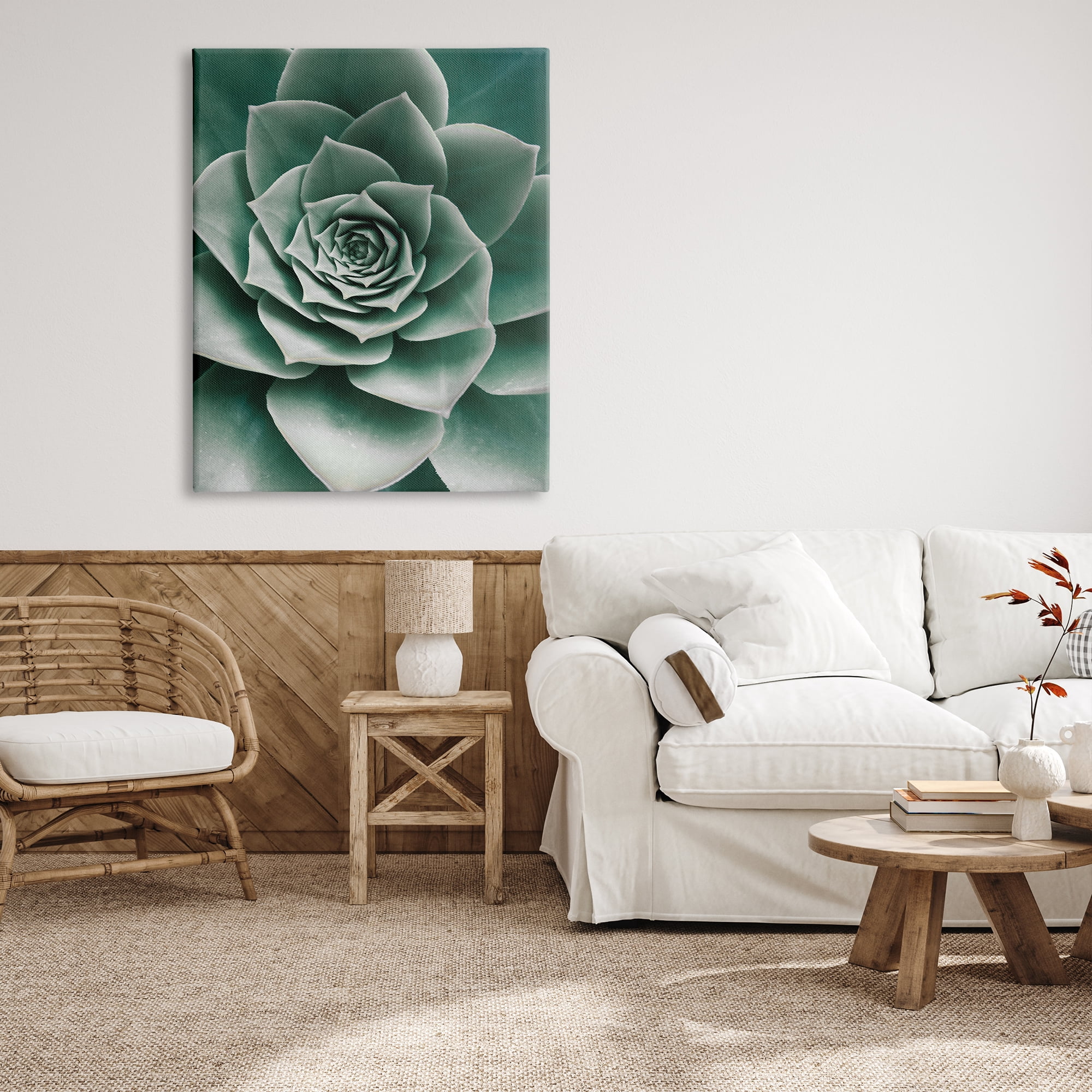 Stupell Industries Green Succulent Photography Botanical & Floral Photography Gallery Wrapped Canvas Print Wall Art, 36 x 48
