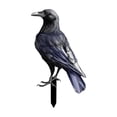 thumbnail image 2 of Clearance Black Crow Yard Stake Spooky Outdoor Garden Decor for Halloween and Themed Party Atmosphere(B), 2 of 4