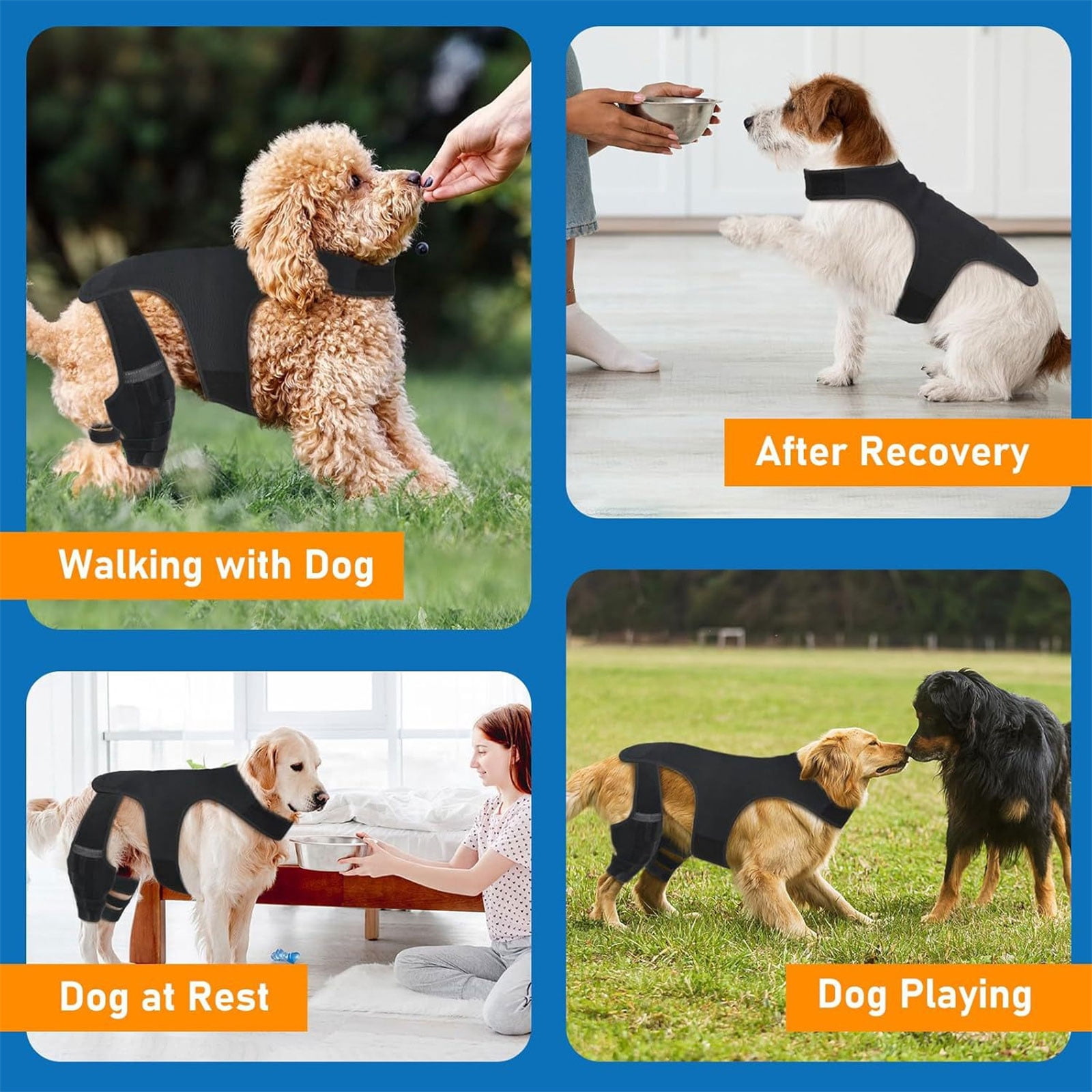 Dog Knee Brace Back Leg Joints Protectors Elastic Neoprene Leg Sleeve With Adjustable Belt For Elderly Dog Health Joint