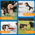 thumbnail image 2 of Dog Knee Brace Back Leg Joints Protectors Elastic Neoprene Leg Sleeve With Adjustable Belt For Elderly Dog Health Joint, 2 of 8